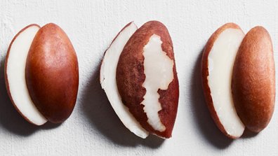 Finest Ingredients On Earth Article 3 Kérastase